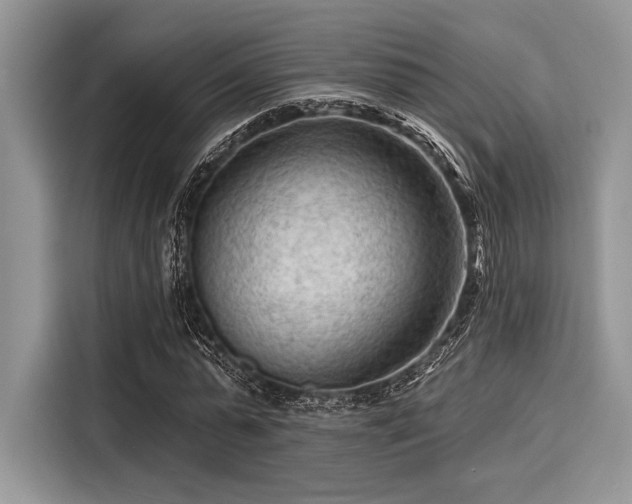 X0000116130775200911301346