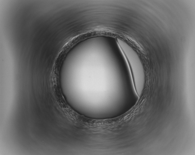 X0000116130776200911301346