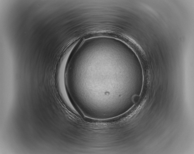 X0000116130777200911301346