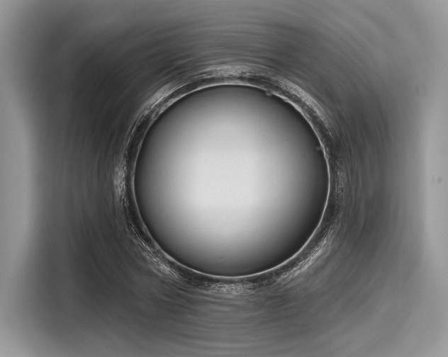X0000116130778200911301346