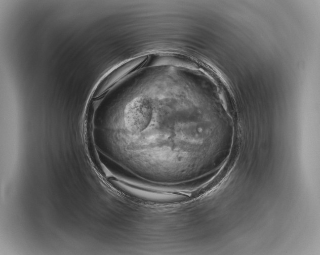 X0000116130779200911301346