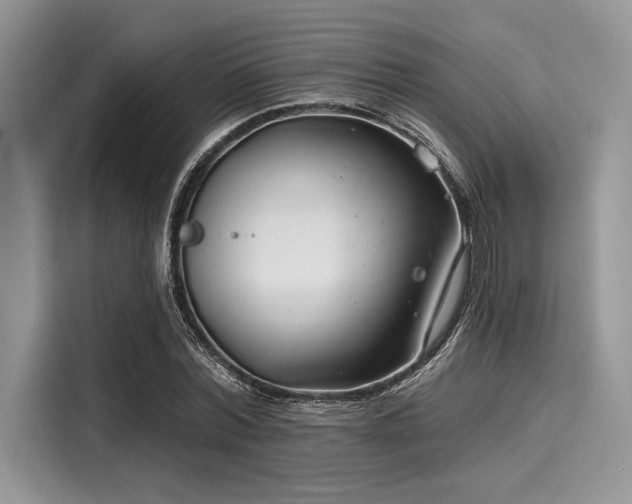X0000116130780200911301346