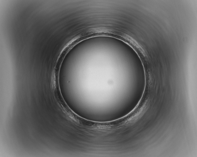 X0000116130782200911301346