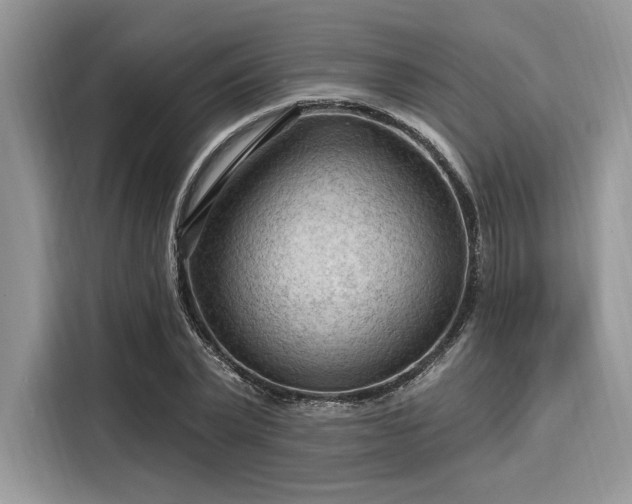 X0000116130783200911301346
