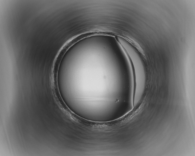 X0000116130784200911301346
