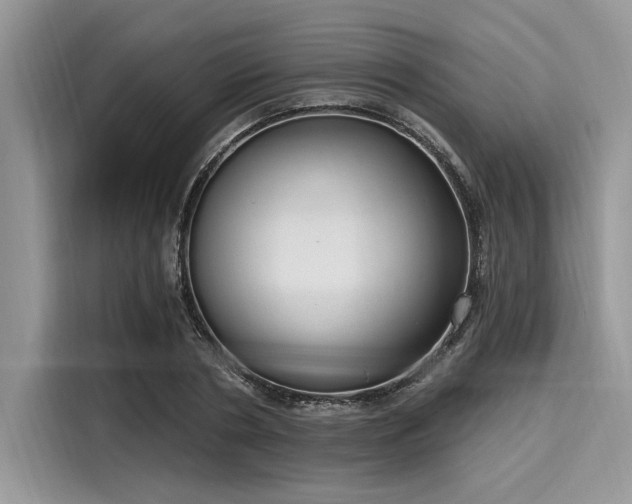 X0000116130786200911301346
