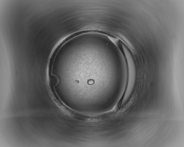 X0000116130788200911301346