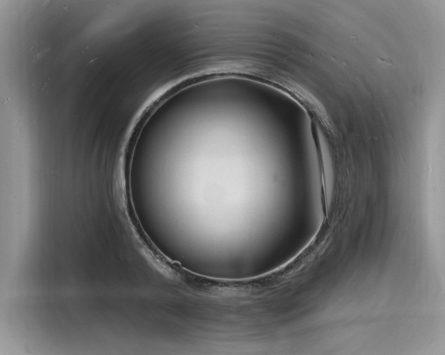 X0000116130792200911301346