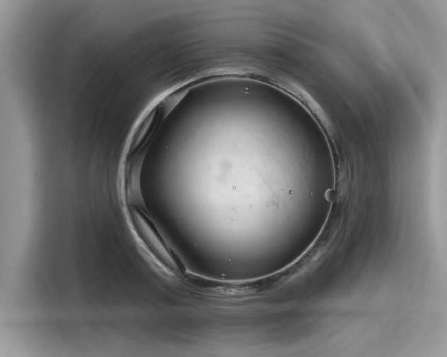 X0000116130795200911301346