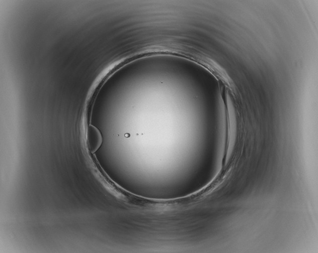 X0000116130796200911301346