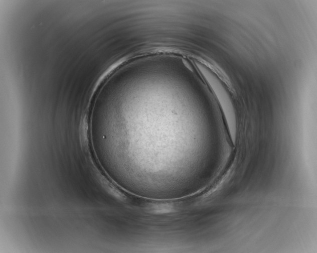 X0000116130798200911301346