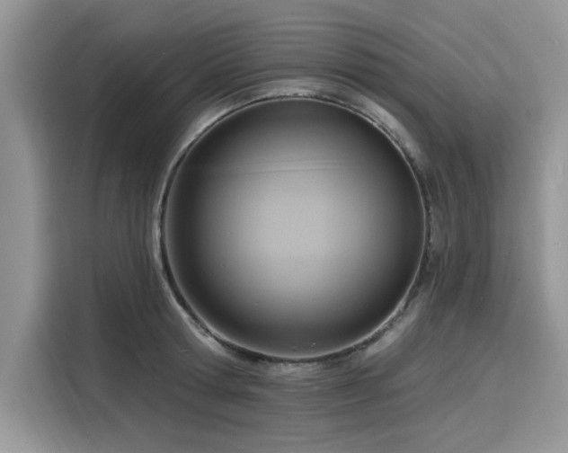 X0000116130802200911301346