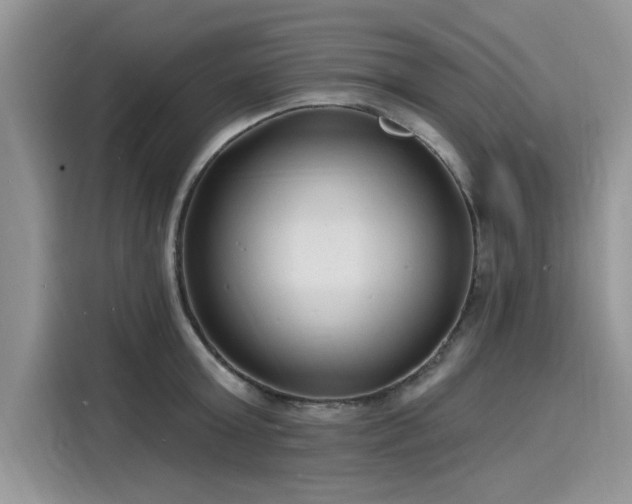 X0000116130803200911301346
