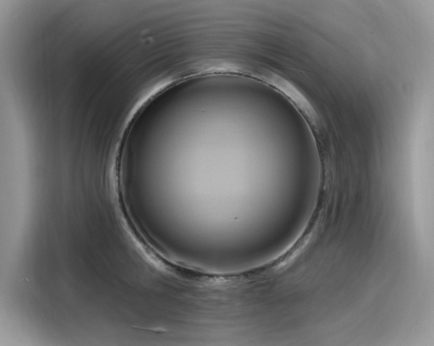 X0000116130806200911301346