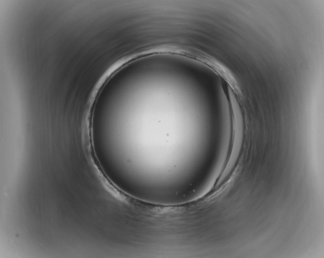 X0000116130808200911301346
