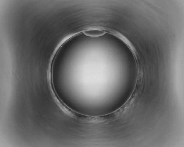 X0000116130811200911301346