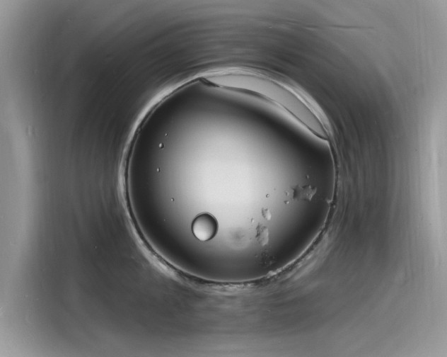 X0000116130813200911301346