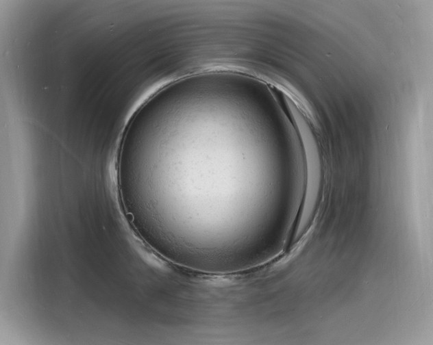 X0000116130814200911301346