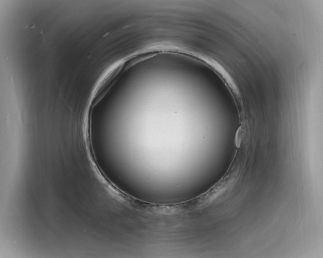 X0000116130815200911301346