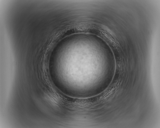 X0000116130817200911301345