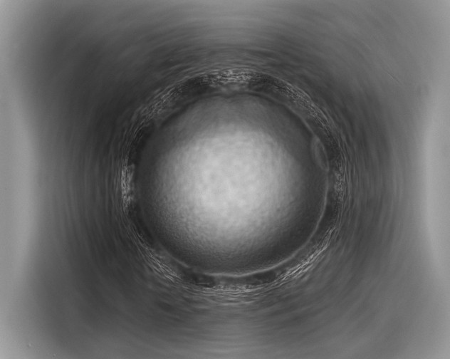 X0000116130818200911301345