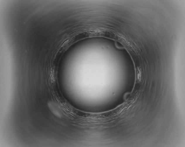 X0000116130819200911301345