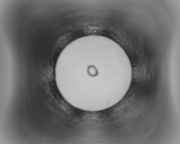 X0000116130820200911301345