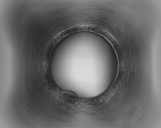 X0000116130821200911301345