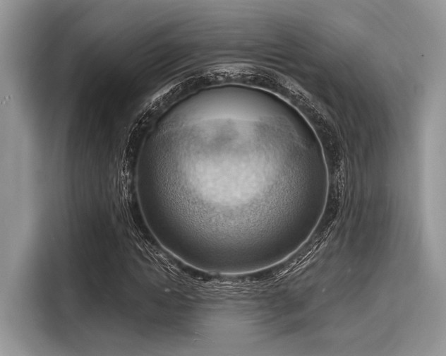 X0000116130822200911301345