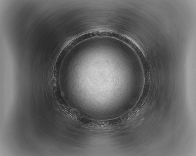 X0000116130823200911301345