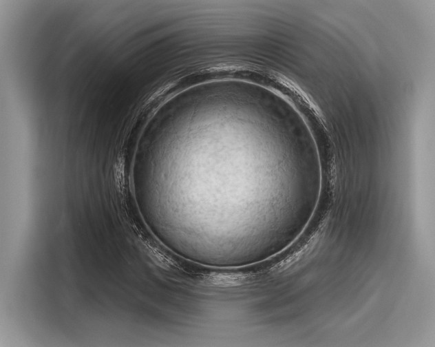 X0000116130825200911301345
