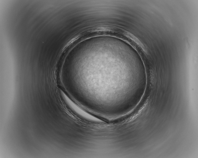 X0000116130826200911301345