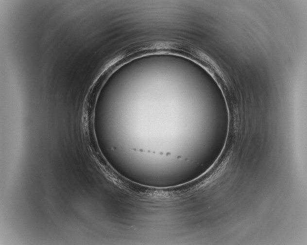 X0000116130827200911301345