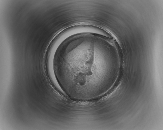 X0000116130829200911301345