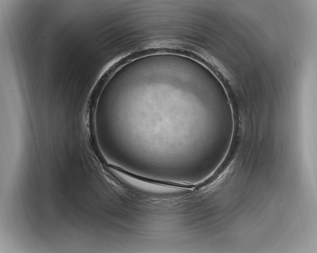 X0000116130830200911301345