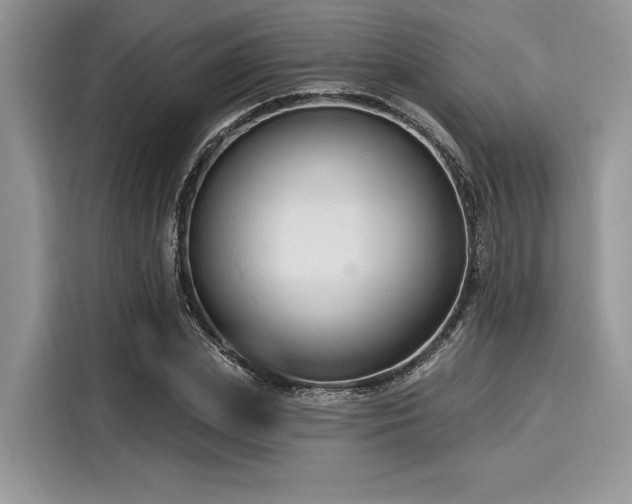 X0000116130831200911301345