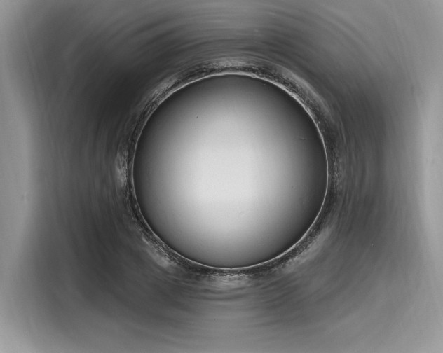 X0000116130833200911301345