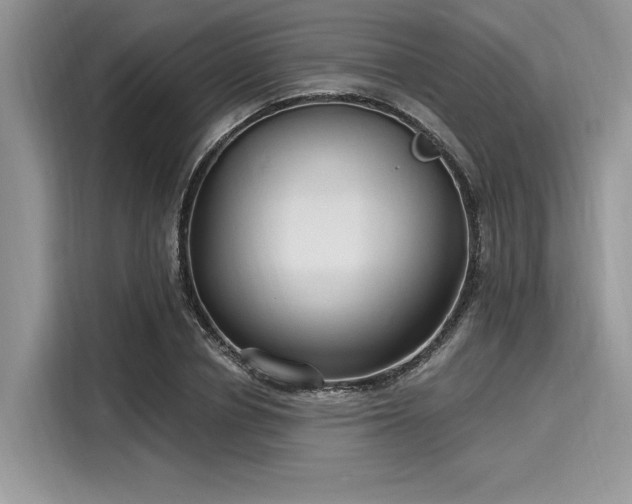 X0000116130834200911301345
