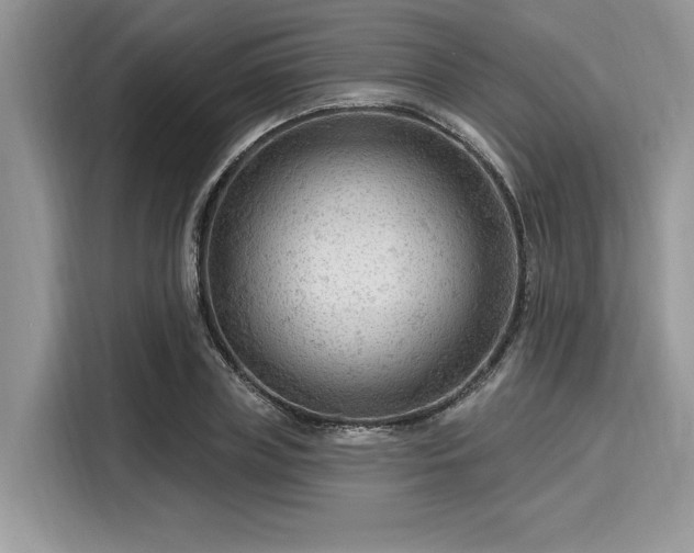X0000116130835200911301345