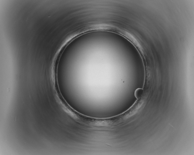 X0000116130843200911301345