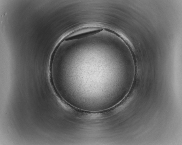 X0000116130845200911301345