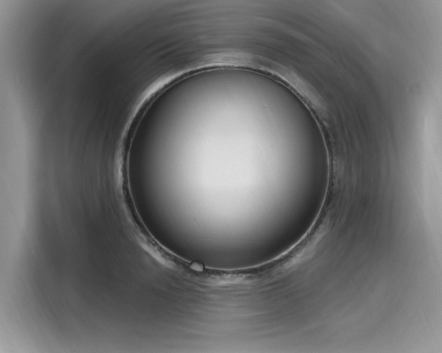X0000116130846200911301345