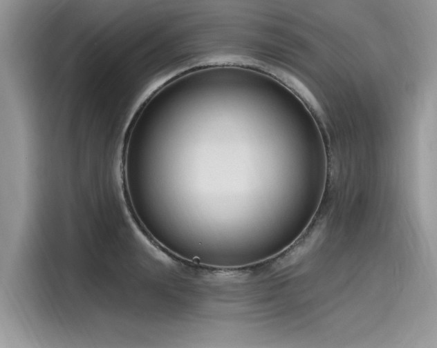 X0000116130847200911301345