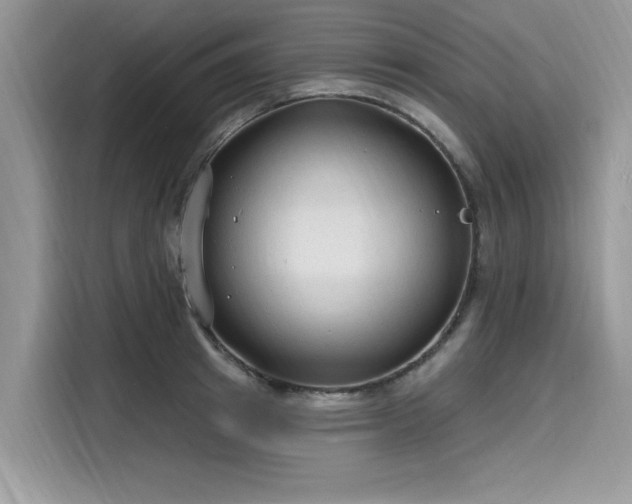 X0000116130849200911301345