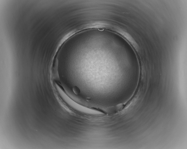 X0000116130850200911301345