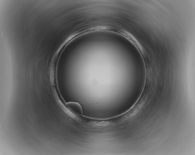 X0000116130851200911301345