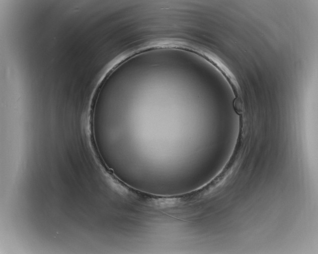 X0000116130853200911301345