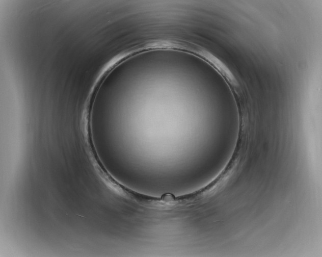 X0000116130854200911301345