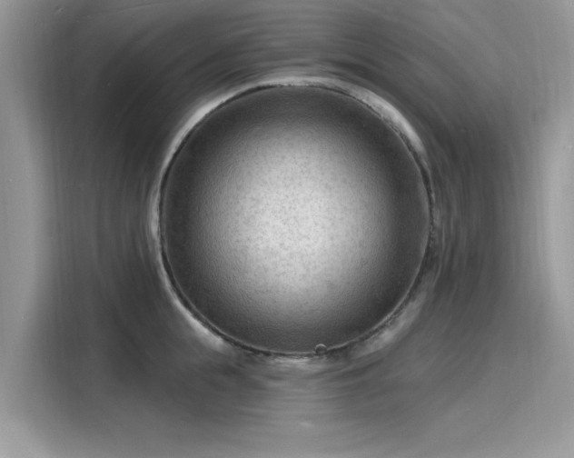 X0000116130855200911301345