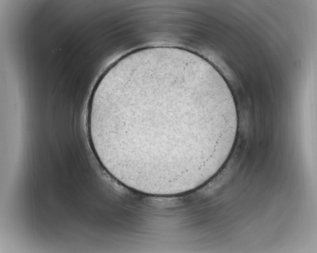 X0000116130856200911301345